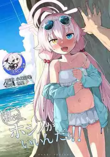 [Henry Plaza (Henrybird)] Hoshino ga (Watashi wa) Iin da yo!! (Blue Archive) [hEROs汉化组] [Digital]