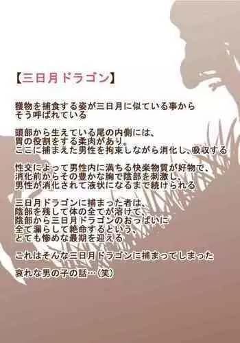 Mamono Musume Series "Mikazuki Dragon"