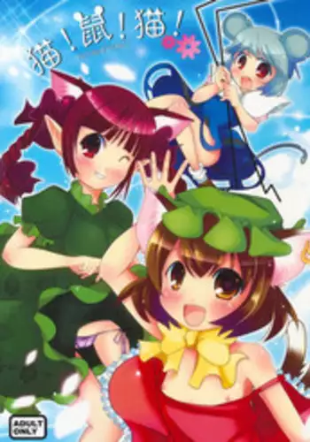 (C76) [Nyaa. to Hidamari (Takamoto Akisa)] Neko! Nezumi! Neko! (Touhou Project)