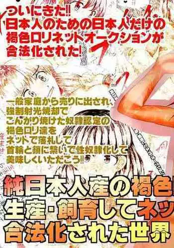 Auctions In A World Of Legal Loli: 10 Suntanned J-Girls