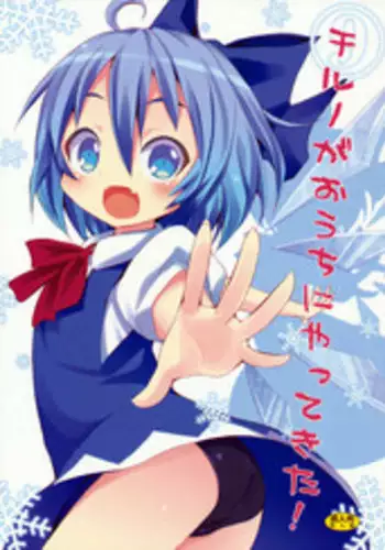 (SC45) [Nounai Kanojo (Kishiri Toworu)] Cirno ga Ouchi ni Yattekita! | Cirno Showed Up at My House (Touhou Project) [English] [UMAD]