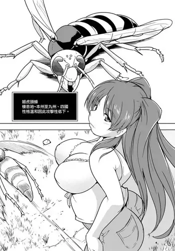 Tamaki X Suzumebachi SS