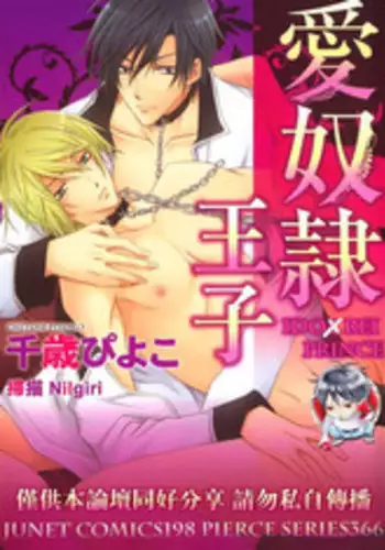 [Chitose Piyoko] IDOREI PRINCE | 愛奴隸王子 [Chinese]