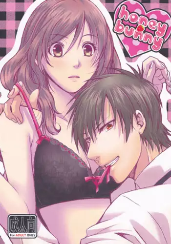 (C91) [AIRMUSICA (Jimo)] honey bunny (B-PROJECT)