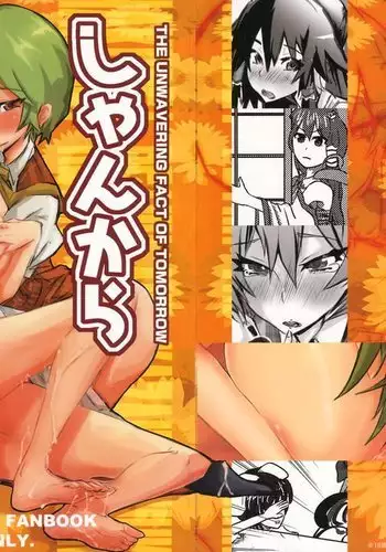 Shankara - The Unwavering Fact of Tomorrow