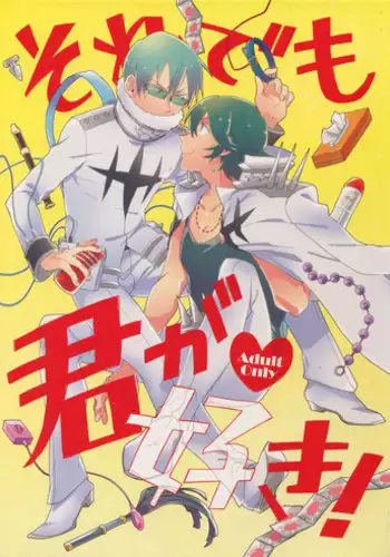 (Ifuudoudou Sarani Aratame) [Sukidarake, chippus! (Fukuzawa Yukine, Chippu)] Soredemo Kimigasuki! (Kill la Kill)