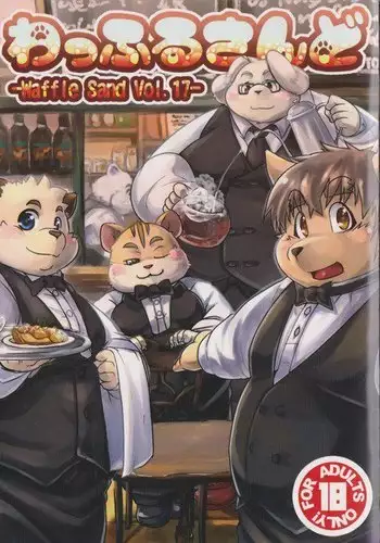 Waffle Sand Vol. 17