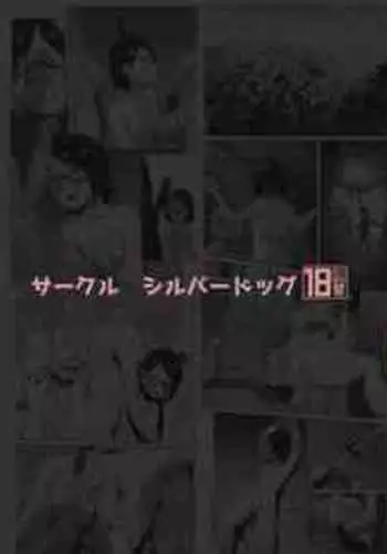 [Silver Dog] A book about training and tricking Sarada-chan, who had her chakra sealed, into doing erotic things (Boruto) [Digital]