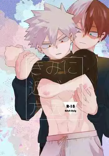 Kimi ni Chikazuku Houhou