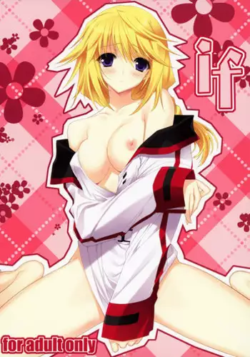 (COMIC1☆5) [HEART WORK (Suzuhira Hiro)] if (IS <Infinite Stratos>)
