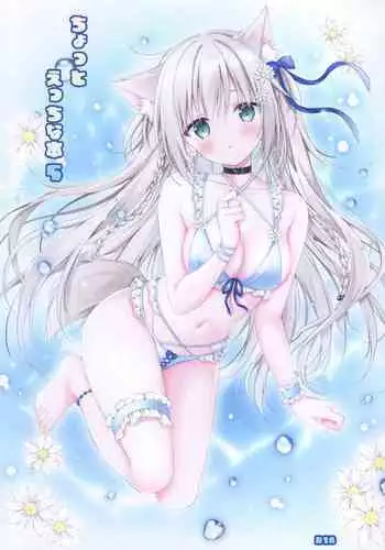 Chotto Ecchi na Hon 5