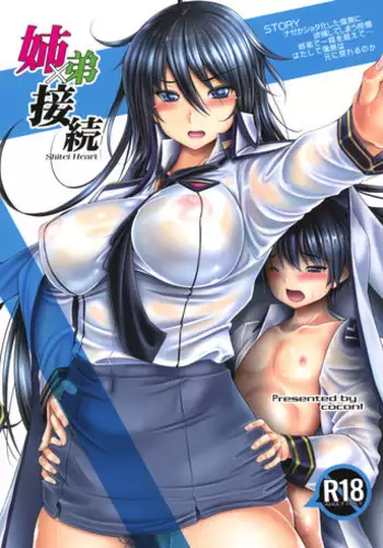 (C90) [cocon! (Otone)] Kyoudai Setsuzoku (Masou Gakuen HxH)