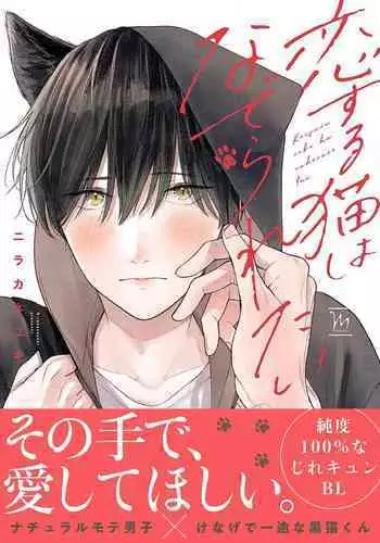 恋爱中的猫咪想被抚摸