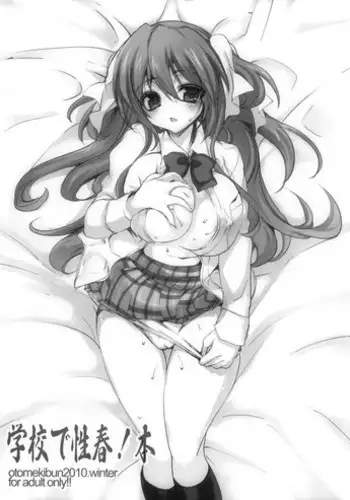 (C79) [Otomekibun (Sansyoku Amido.)] Gakkou de Seishun! Hon [Chinese] [千易夏河崎個人漢化]