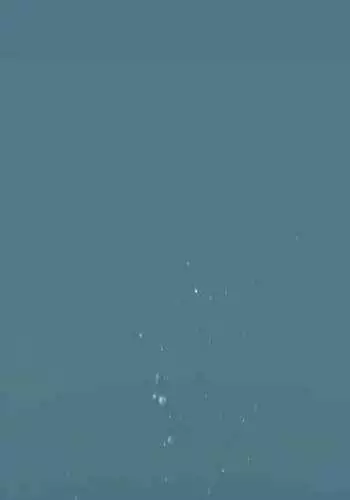 Complete Silent War/ My Kingdom Manhwa Download Link (Best Available Quality)