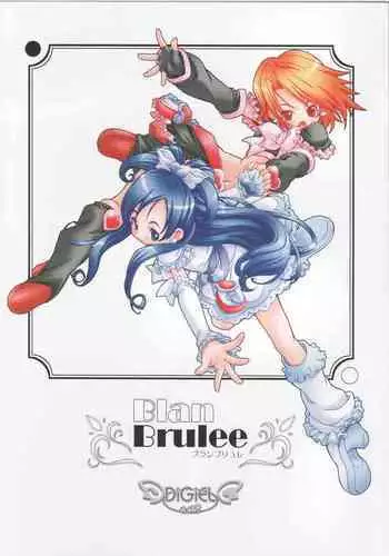 (C67) [DiGiEL (Yoshinaga Eikichi)] Blan Brulee (Futari wa Precure)
