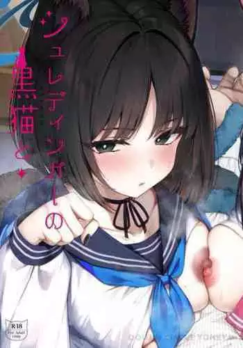 Schrödinger no Kuroneko to 2 | 与薛定谔的黑猫一起2