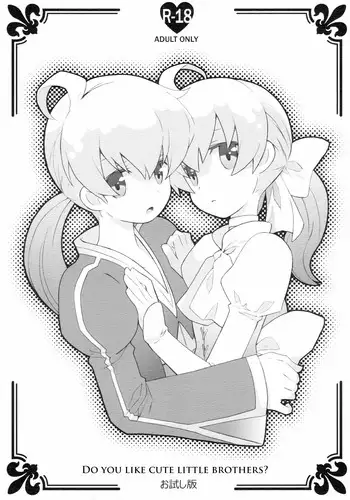 (C78) [Bakuhatsu BRS. (B.Tarou)] Kawaii Otouto-san wa Suki desu ka? Otameshiban | Do you Like Cute Little Brothers? (Final Fantasy Tactics) [English] =LWB=