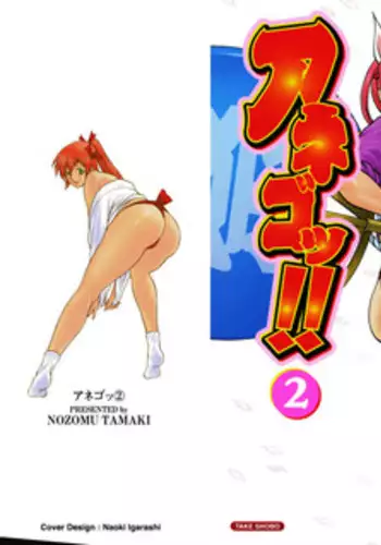 [Tamaki Nozomu] Anego!! 2
