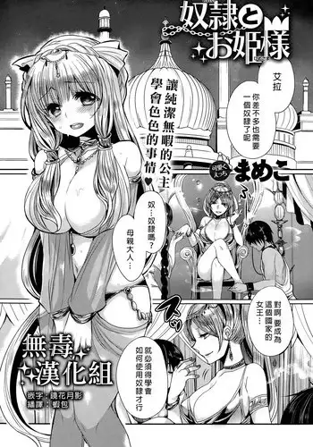 [Mameko] Dorei to Ohimesama (COMIC Anthurium 022 2015-02) [Chinese] [无毒汉化组]