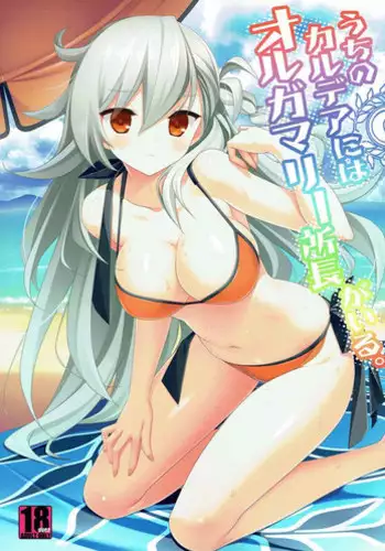 (C92) [BERRY BAGEL (Kanekiyo Miwa)] Uchi no Chaldea ni wa Olga Marie Shochou ga Iru. (Fate/Grand Order)