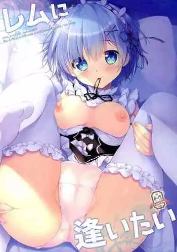 [PINK CHUCHU (Mikeou)] Rem Ni Aitai (Re:Zero kara Hajimeru Isekai Seikatsu)